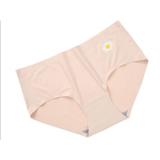 Combo 10 quần đúc hình cúc hoạ mi