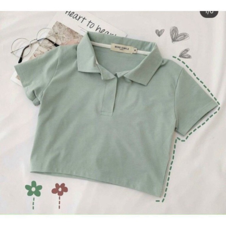 Áo Croptop Polo Basic [FREESHIP] chất thun dày dặn mềm mại kiểu dáng Ulzzang -CT14- LUXCY store