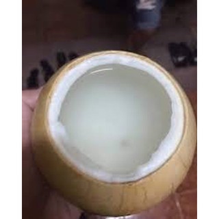 Dừa xiêm Bến Tre cỡ mini