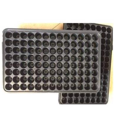 Khay Ươm Hạt Gống 104 lỗ