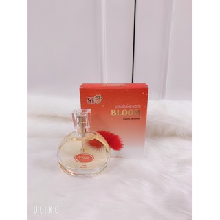 nước hoa đẳng cấp dành cho thú cưng