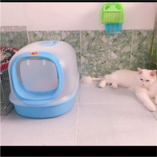 Nhà vệ sinh AG+ cho mèo 🐈🐈❤❤