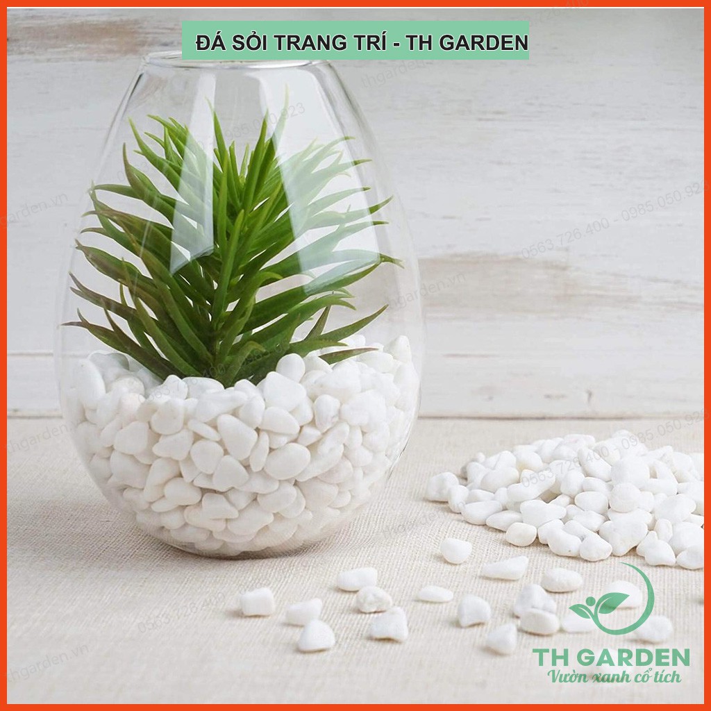 Đá sỏi trang trí chậu cây TH Garden - 1kg - Đá cuội sỏi chuyên trang trí bể cá, sân vườn - Dòng sỏi trắng cao cấp