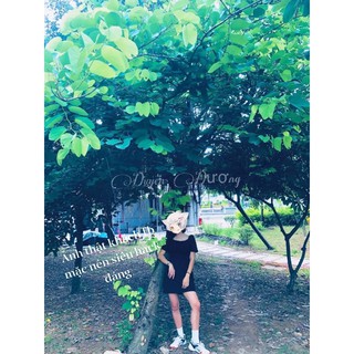 💯VÁY/ĐẦM➖VÁY BO CHUN EO➖CHẤT MỊN ĐẸP💯
