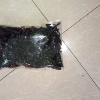 Dây chun buộc tóc cho bé(1 lạng) đủ màu