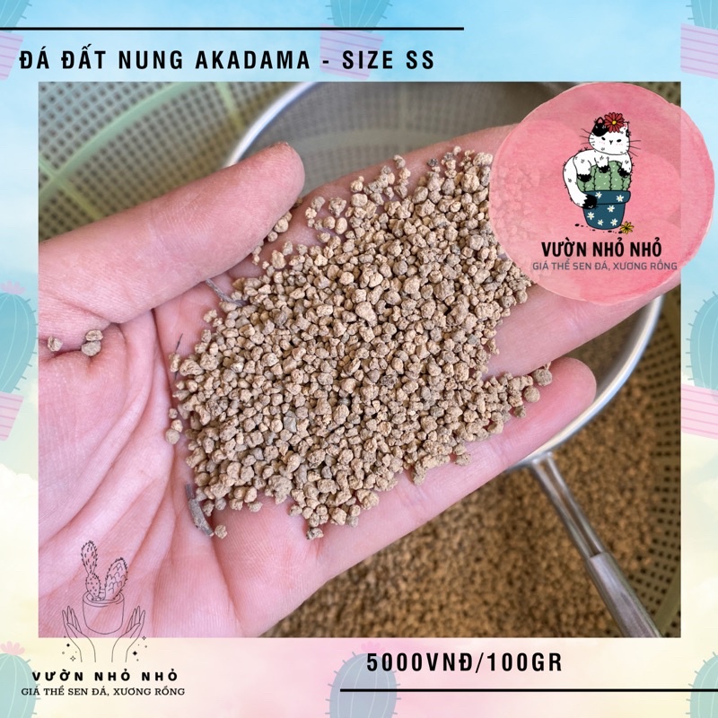 100gr Đá Akadama Nhật Bản loại cứng size S và SS dùng để rải mặt chậu, trồng sen đá, xương rồng, lithops