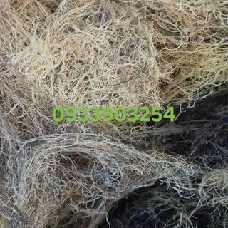 Rong xu xoa Quảng Nam 89k/ 1kg