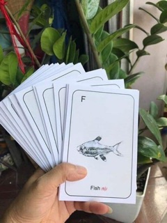 Thẻ Animal 4D