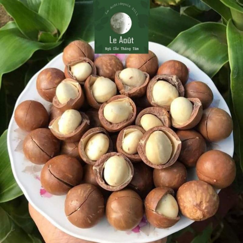 500g Hạt Macca Úc Loại 1 Nguyên Vỏ (Kèm Dụng Cụ Tách Vỏ) - Australian Macadamia