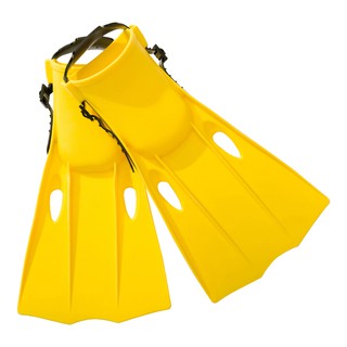 KÍNH BƠI CHÂN VỊT ỐNG THỞ TRẺ EM INTEX 55655