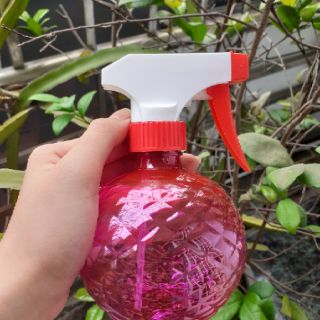 Bình xịt Bacarlo 350ml-500ml