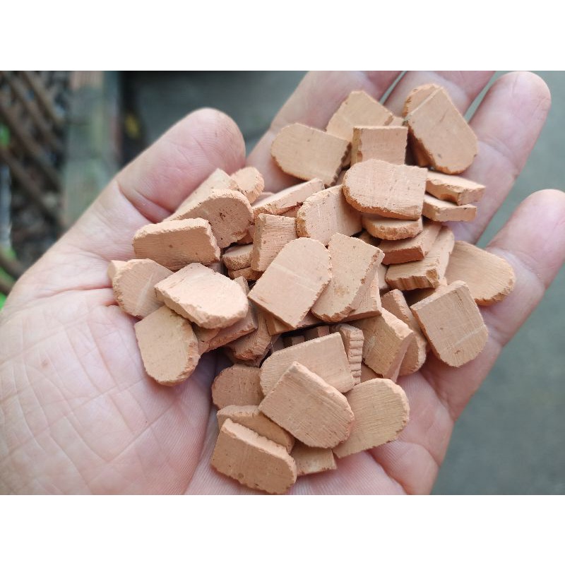 Ngói mini vảy cá