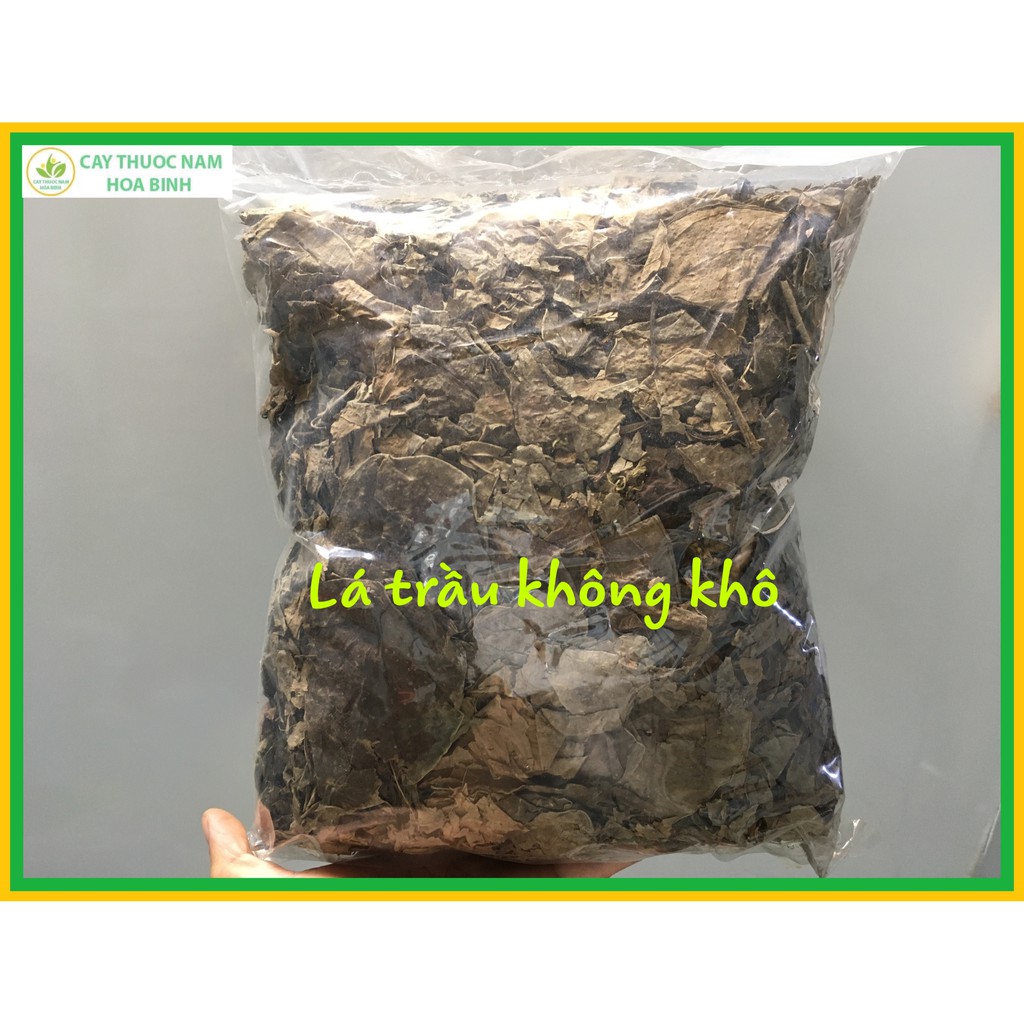 100g lá trầu không khô thơm sạch