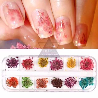 Set ẩn gel hoa chùm