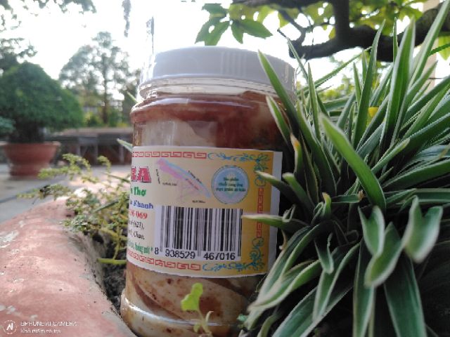 Mắm Cá Tra Cù lao Tân Lộc 0,5kg - Chính hãng Mắm Út Anh | BigBuy360 - bigbuy360.vn
