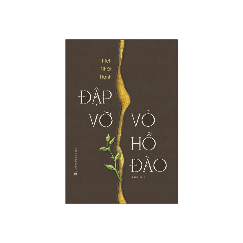 Sách - Đập Vỡ Vỏ Hồ Đào