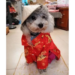 Nón nhỏ cho chó mèo