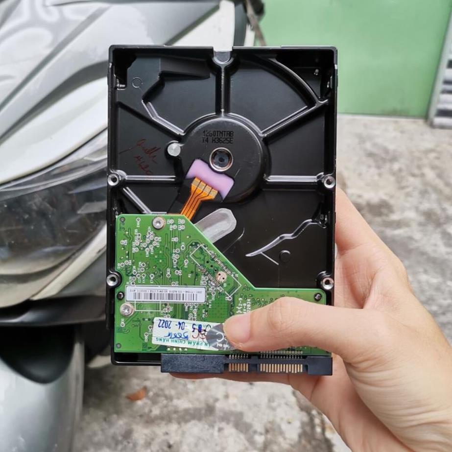 Ổ CỨNG 500GB - BẢO HÀNH 36 THÁNG | BigBuy360 - bigbuy360.vn