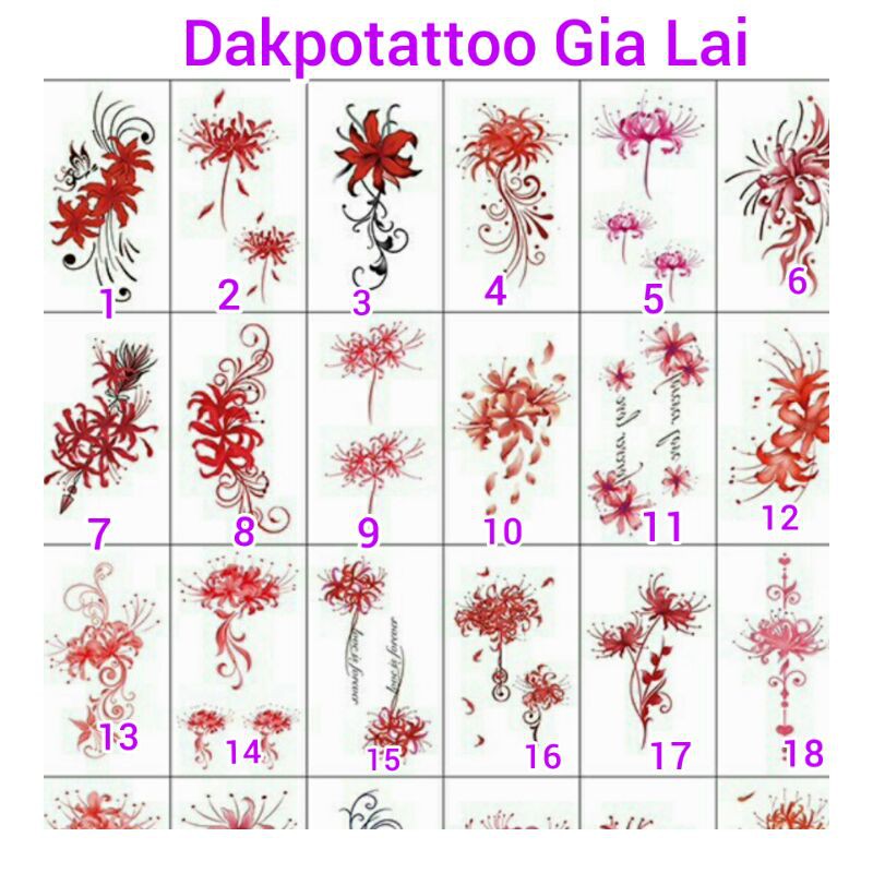 Hình xăm dán mini Hoa bỉ ngạn.