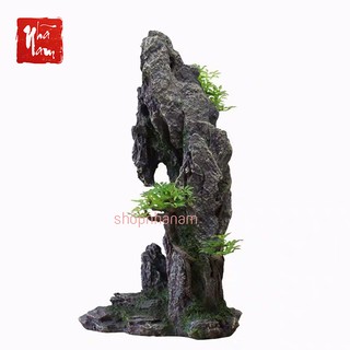 Mô hình non bộ cây cổ thụ lũa bể cá thủy sinh