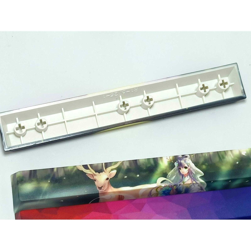 Nắp Đậy Phím Cách PBT 6.25U In Hình btsg DIY