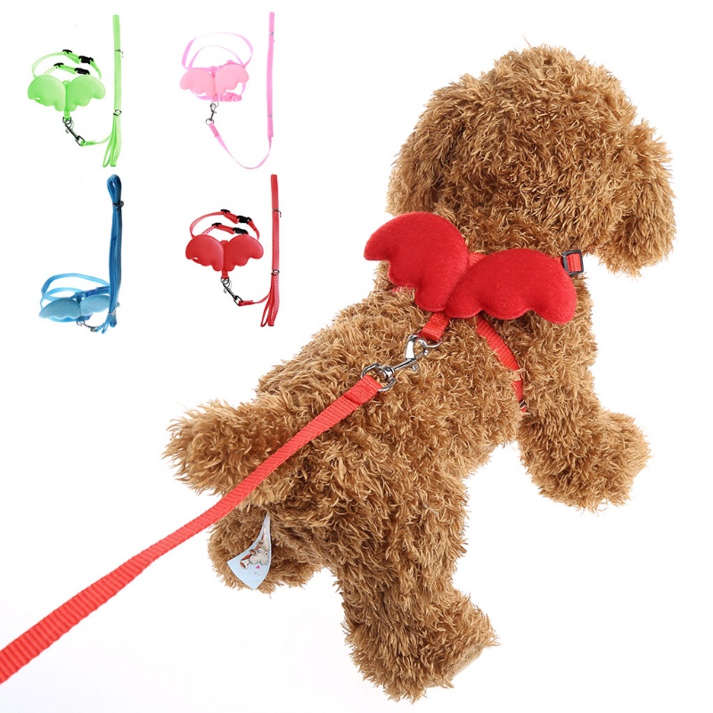 Bộ Dây Đai Dắt Mèo Thoát Hiểm Cỡ Nhỏ Và Dây Dắt Hình Cánh Động Vật