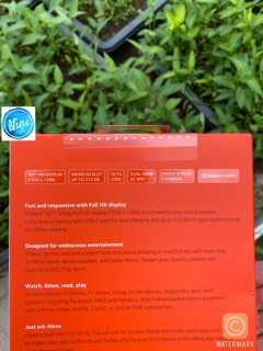 Máy tính bảng Amazon Kindle Fire HD 10
