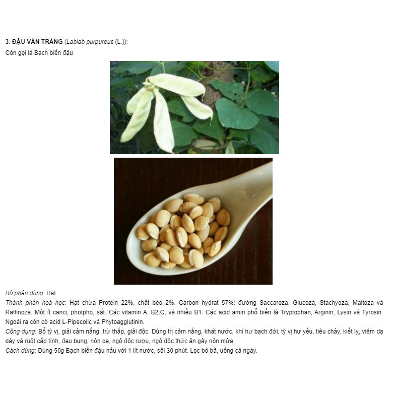 0.5kg Hạt Đậu Săng ORGANIC ĐĂKLĂK