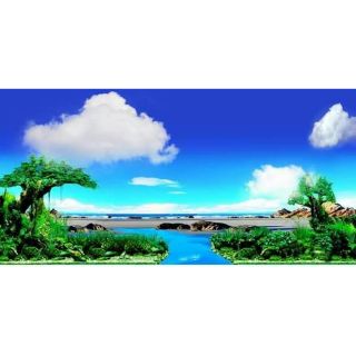 Tranh 3D bể cá (kt 60x40;80x50;90x50;100x50;120x60;130x60;150x60cm)