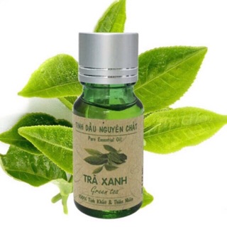 Tinh dầu trà xanh nguyên chất