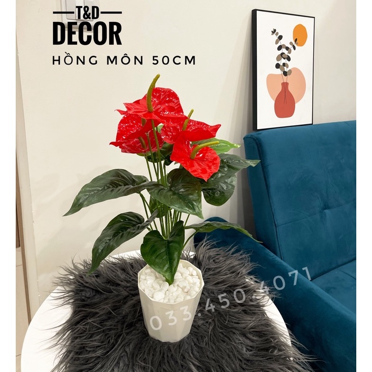 Cây giả- Cây hồng môn 50cm