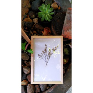 Khung ảnh A4 21x30 + Hoa khô - Khung hình gỗ thông mặt kính - Khung ảnh đẹp treo tường - Picture Frames Tiệm Khung PT