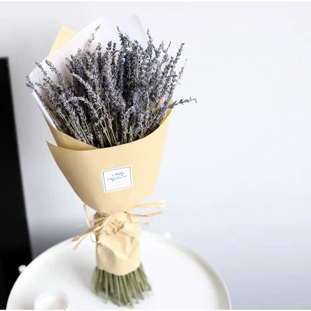 Hoa Lavender ❤️FREESHIP❤️Hoa Oải Hương Khô Decor Nhà Siêu Xinh