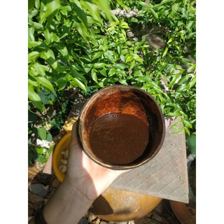 Nước gội bồ kết cô đặc 1000ml