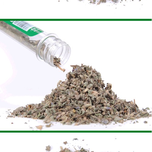 CATNIP - CỎ BẠC HÀ CHO MÈO