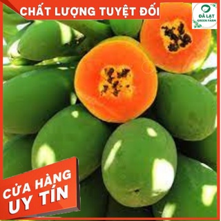 Hạt Giống ĐU ĐỦ RUỘT ĐỎ- 10 HẠT (CHÂT LƯỢNG CHUẨN FARM)