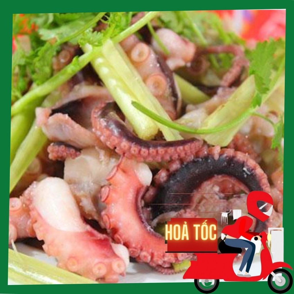 Râu bạch tuộc khổng lồ - Râu tuộc khổng lồ