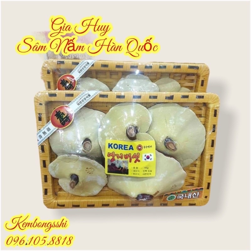 [SỈ TẬN GỐC] Nấm linh chi Vàng dạng khay HÀN QUỐC