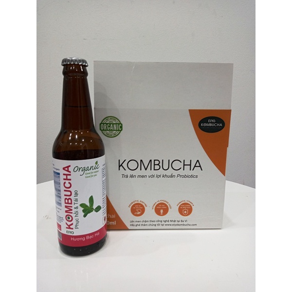 TRÀ EIYO KOMBUCHA – MÙI BẠC HÀ (Restore and Regenerate – Peppermint)