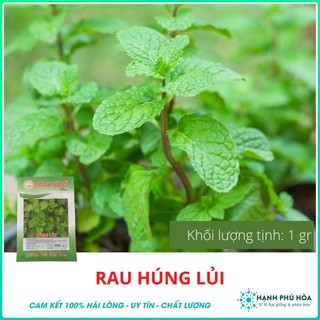 Hạt giống Húng Lủi-0.2 gr Rạng Đông -Tỉ Lệ Nảy Mầm Cao, Thu Hoạch Quanh Năm, Ăn Ngon Ngọt, Tốt Cho Sức Khỏe