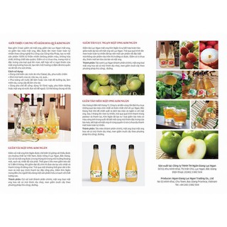 Giấm Vải Kim Ngân