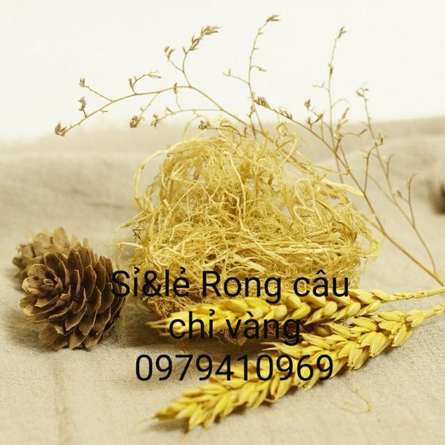 500gr Rau Câu Chỉ Vàng. Rong Biển Nấu Xu Xoa. Rong Biển Nấu Chè