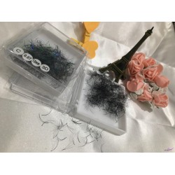 Mi volume 3D , mi fan 3D , Mi fan sẵn 3D hộp 1000 fan , Mi 3D 1000 fan/hộp , Mi 3D