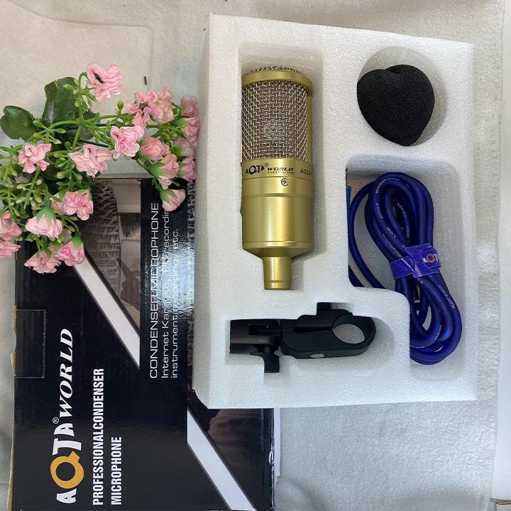 Mic thu âm chuyên nghiệp AT100,AQTA220,AQTA221,BM900,..hát livestrem,phòng thu cao cấp, hàng đẹp Smarttnt.vn