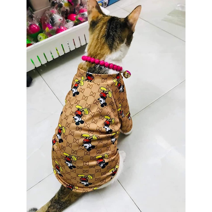 Áo đẹp, thời trang dành cho thú cưng