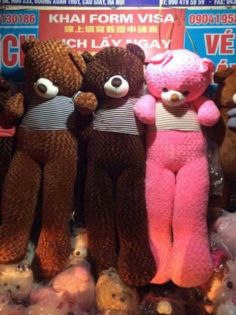 Gấu bông teddy áo khổ vải 2m