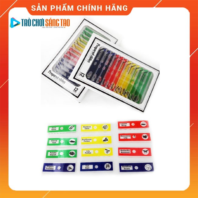 Bộ 2 hộp tiêu bản sẵn cho kính hiển vi