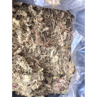 Dớn Chi lê nhập khẩu kg