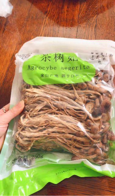 Nấm cây trà dưỡng sinh