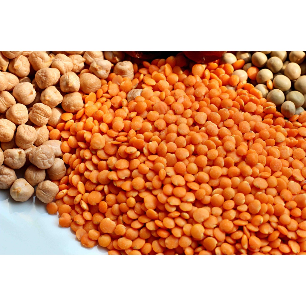 Đậu lăng đỏ  loại tươi chuyên làm sữa hạt